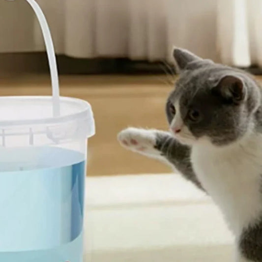 3/5/8/10L Automatic Pet Water Dispenser - ProPawPet.com