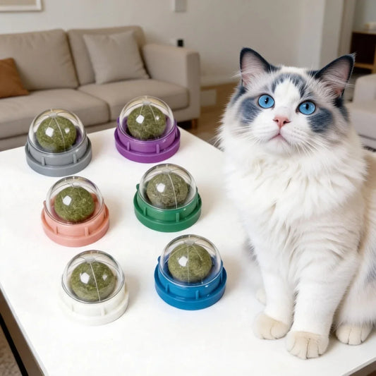 2/4/6pcs Catnip Ball Cat Catnip Wall - ProPawPet.com
