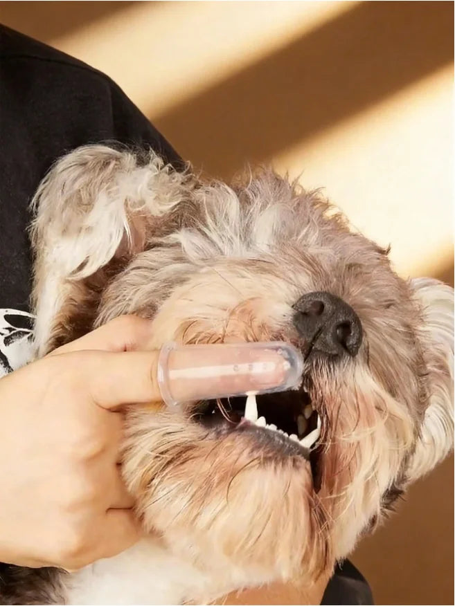 Portable Silicone Pet Finger Toothbrush, - ProPawPet.com