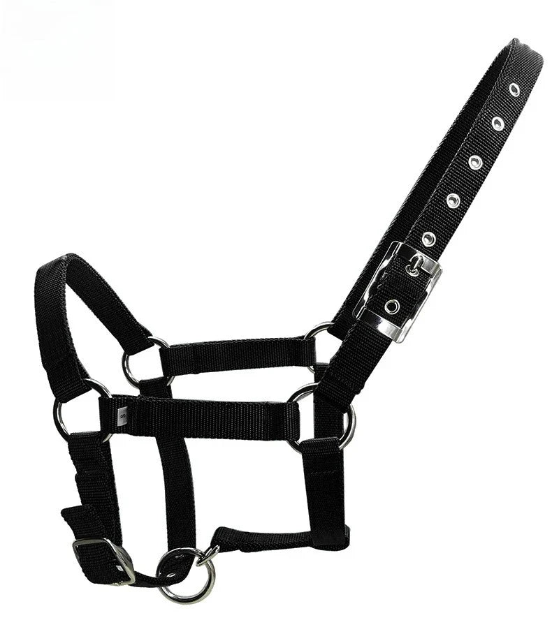Adjustable Thickened PPWebbing Equestrian - ProPawPet.com