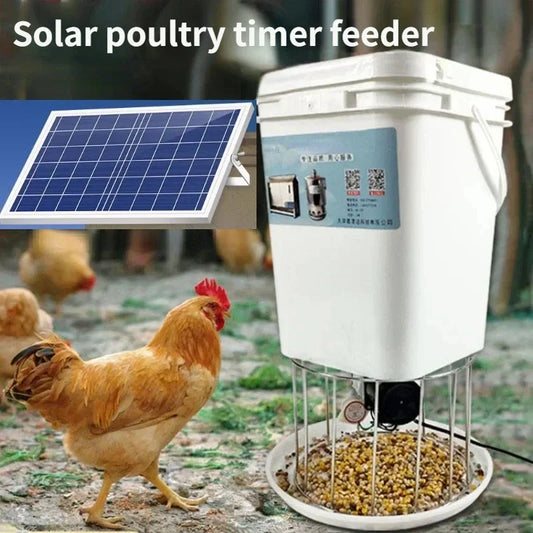 Solar poultry automatic timing feeder - ProPawPet.com