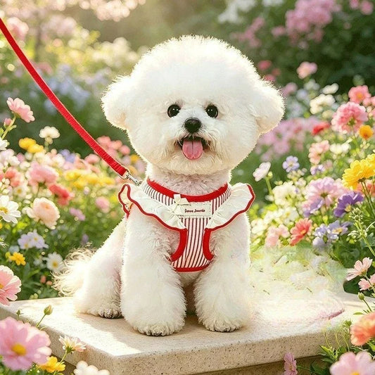 New Pet Cat Harness and Leash Set Adjustable - ProPawPet.com