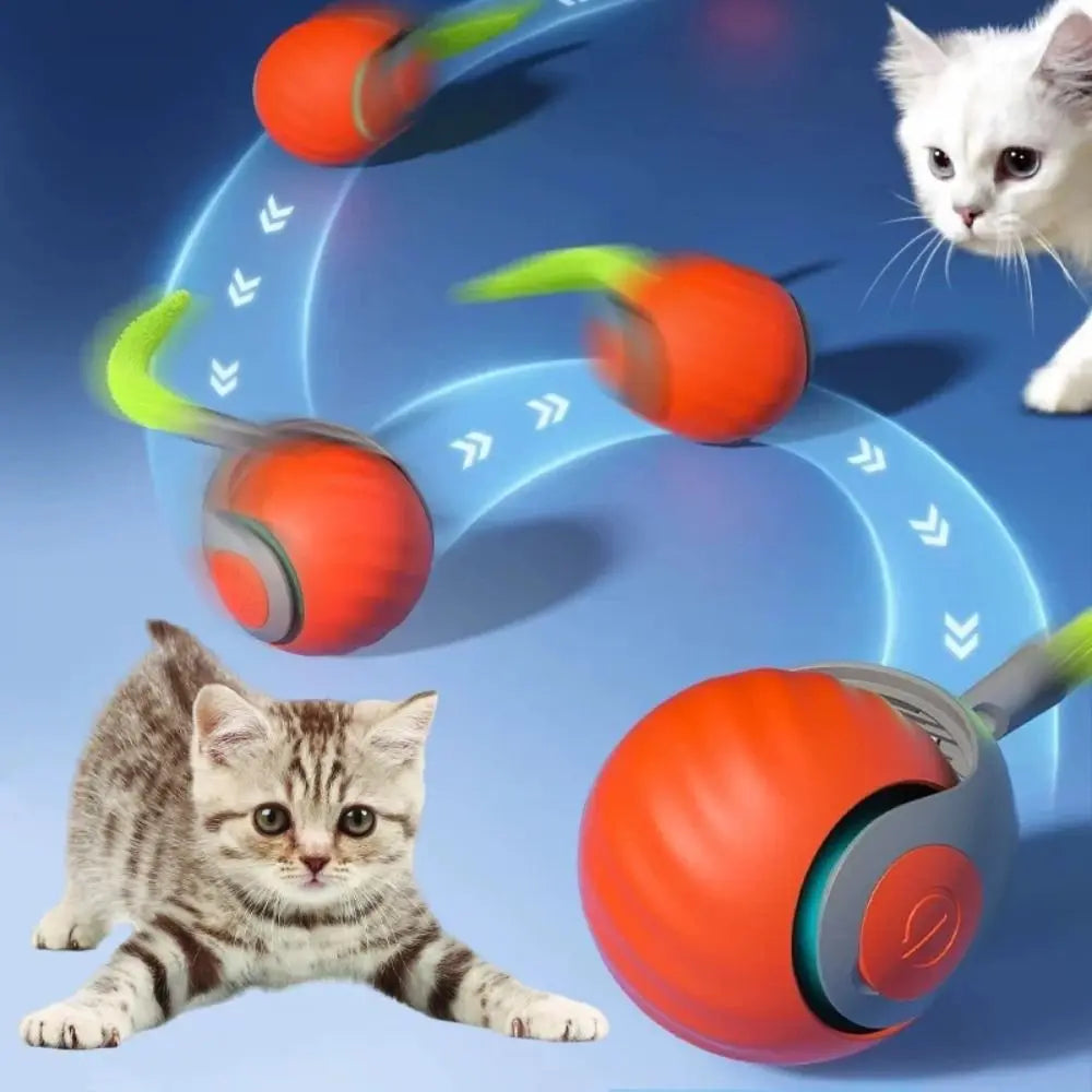 Speedy Tail 2.0 Cat Toys, Smart Interactive - ProPawPet.com