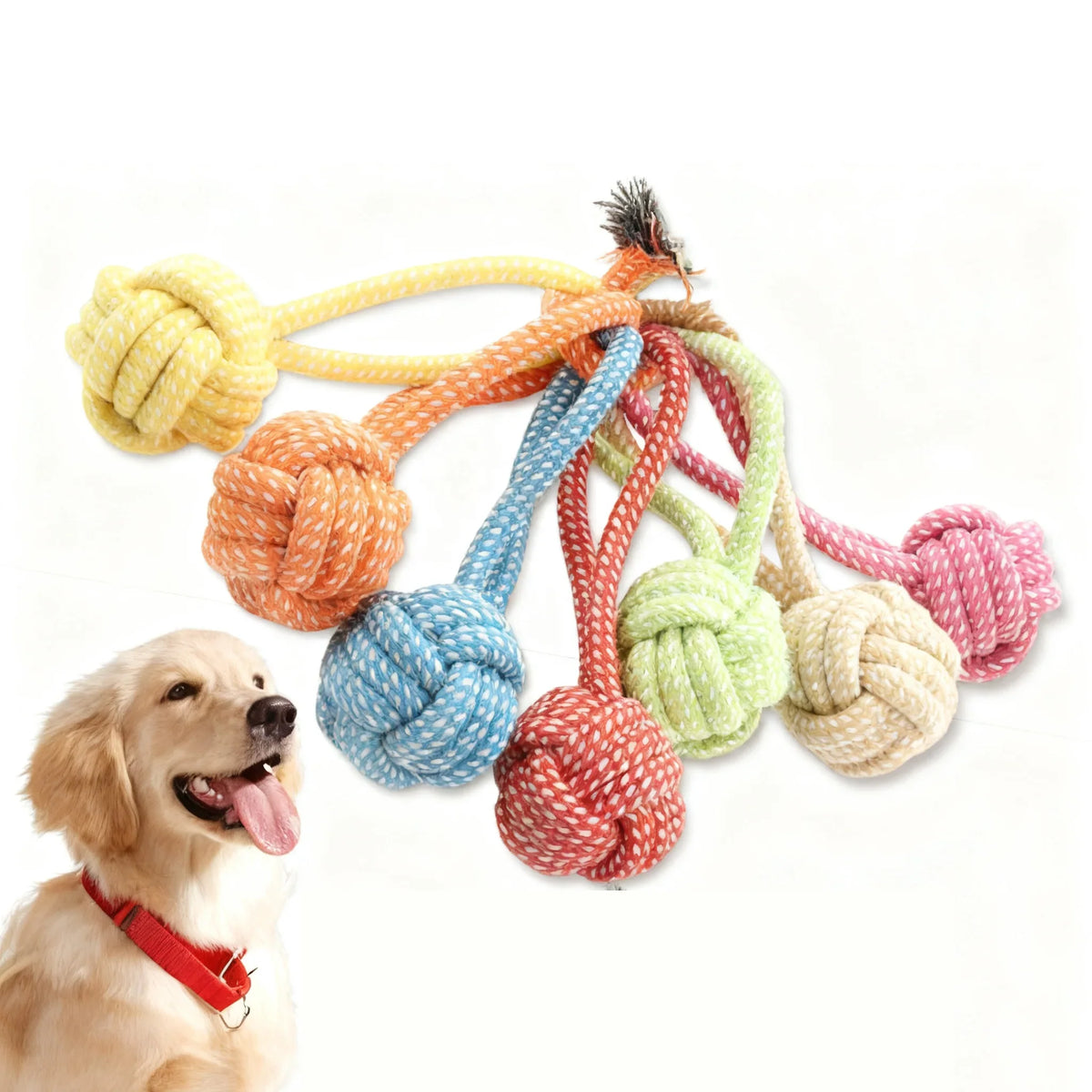 New Eco-friendly Durable Single Loop - ProPawPet.com