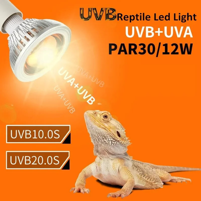 Reptile UVA+UVB Lamp Bulb Turtle Basking UV - ProPawPet.com