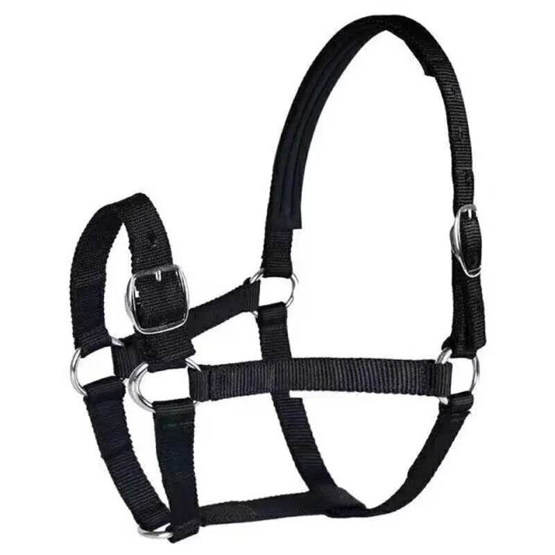 Horse Halter Protective Padded Adjustable - ProPawPet.com