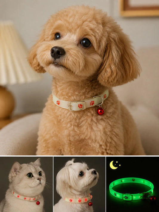 1 Pc 29cm Pet Collar, Night Glowing Cute Pet - ProPawPet.com