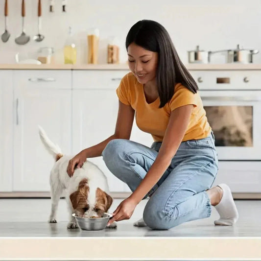Stainless Steel Anti-Slip Pet Bowls Set for - ProPawPet.com