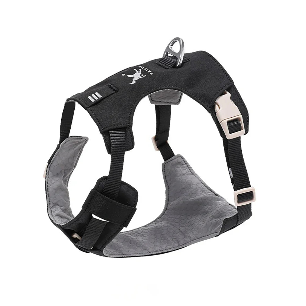 Lightweight Dog Harness & Leash Set - ProPawPet.com