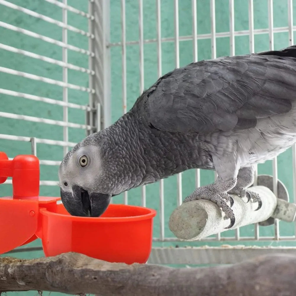 6-36pcs Automatic Chicken Waterer Bird - ProPawPet.com