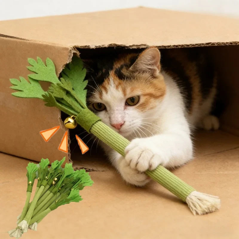 Interactive Squeaky Catnip Chew Toy Teeth - ProPawPet.com