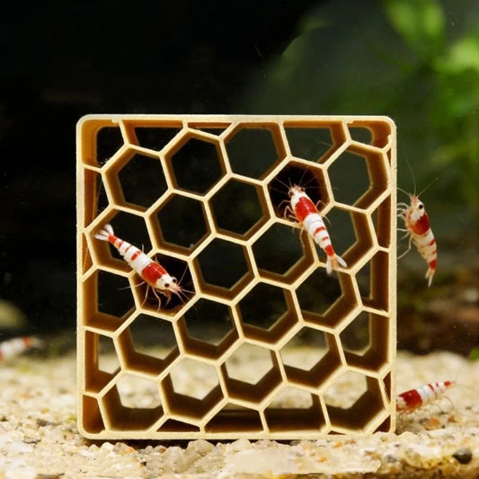 3D Printed Aquarium Cave Shelter Natural - ProPawPet.com
