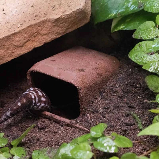 Reptile Hideout Cave for Gecko Lizard and - ProPawPet.com