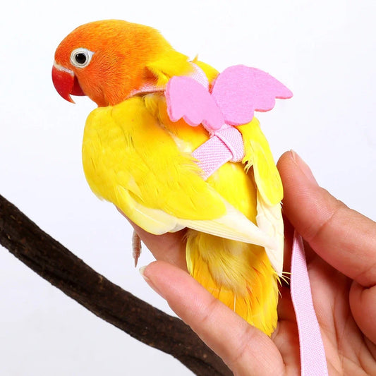 1pc Pet Parrot Bird Harness AdjustTraining - ProPawPet.com