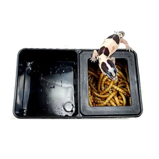 1pc Reptile Tank Insect Spider Ants Nest - ProPawPet.com