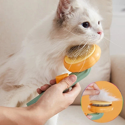 Pumpkin Cat Brush Comb For Pet Grooming - ProPawPet.com