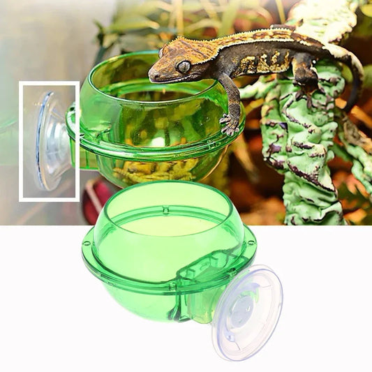 Arboreal Reptile Live Anti-Escape Sucker - ProPawPet.com