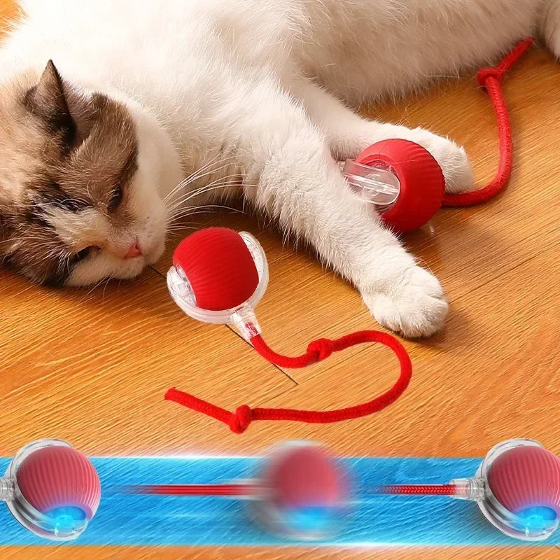 1~3pcs Cat Interactive Ball Toy Automatic - ProPawPet.com