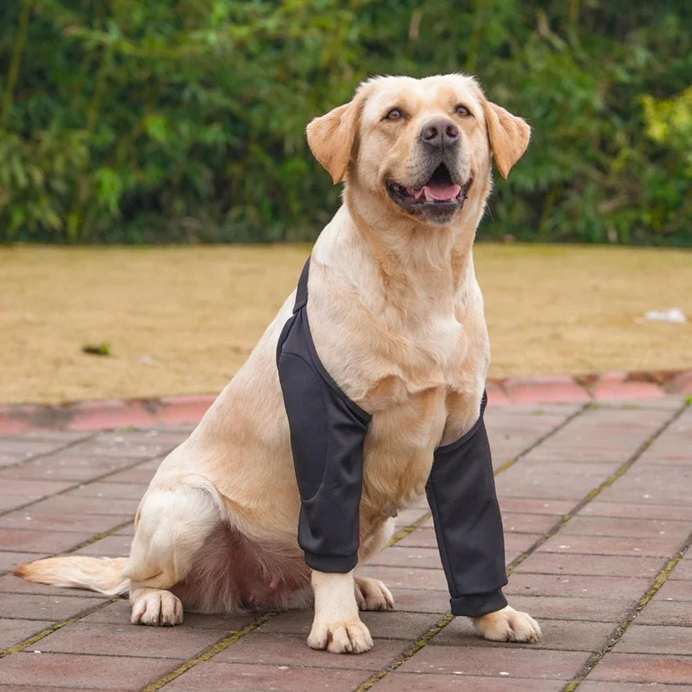 Pet Knee Pads for Joint Injury Recovery Legs - ProPawPet.com
