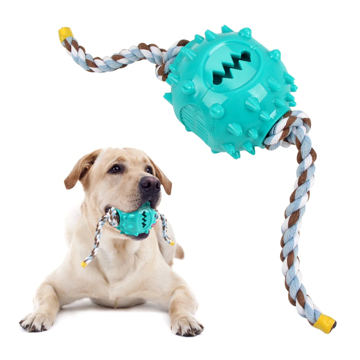 Dog Grinding Teeth Toys Chew Cleaning Anti Bite Interactive – Dog Supplies