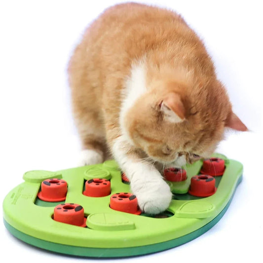 Rainy Day Puzzle & Play - Interactive Cat - ProPawPet.com