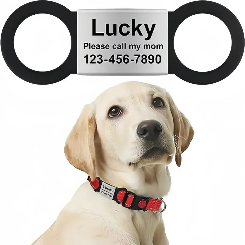 Custom Cat Dog ID Personalized Pet Collar - ProPawPet.com