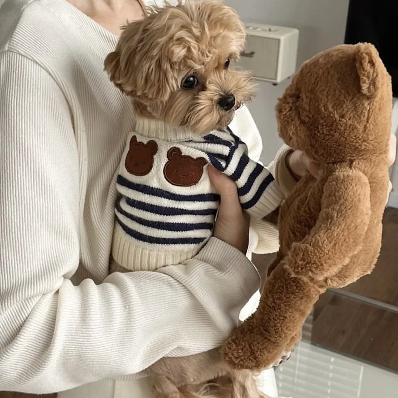 Luxury Dog Clothes Bear Striped Print - ProPawPet.com