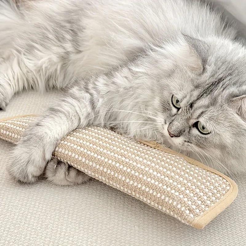 1Pc Cat Toy Pillow Teething Chewing - ProPawPet.com