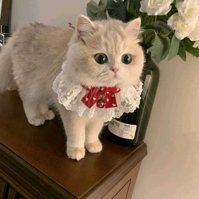 Cat & Dog Collar Silk Wedding Puppy Ribbon Scarf Princess – Cat Collars