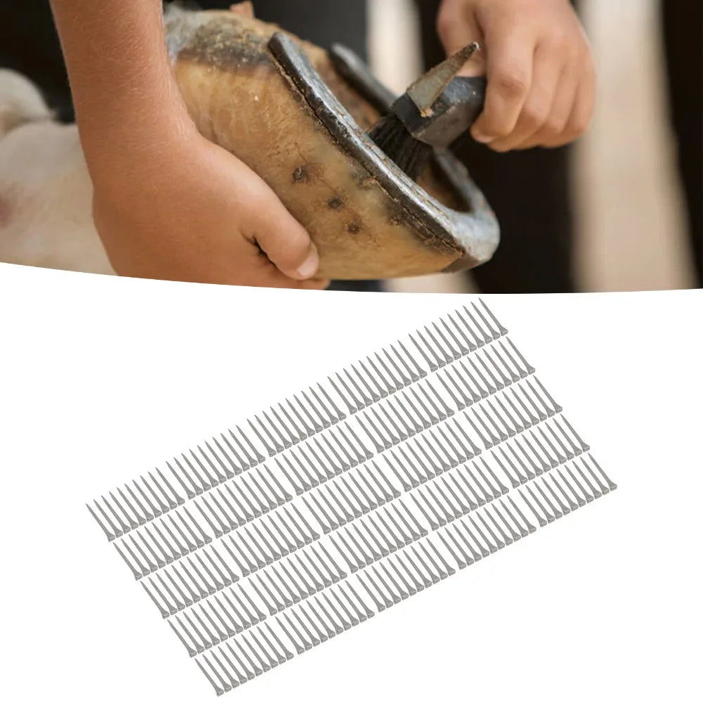 250pcs Low Carbon Steel Horseshoe Nails - ProPawPet.com