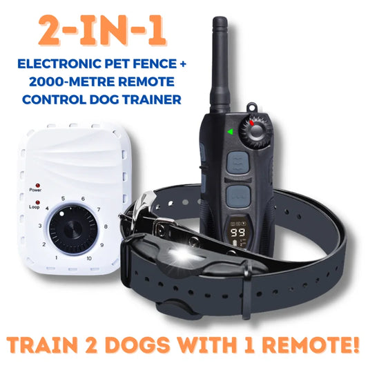 Remote Dog Training Collar 2-IN-1 ELECTRONIC - ProPawPet.com