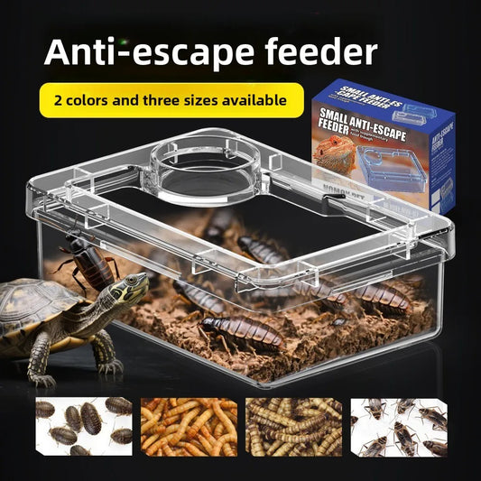 Reptile Lizards Geckos Feeding Bowls Anti - ProPawPet.com
