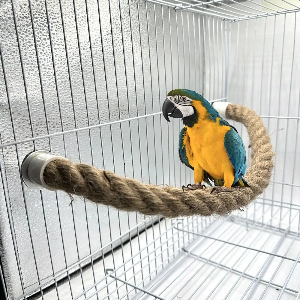 Tooth Grinding Parrot Cotton Rope Pole - ProPawPet.com
