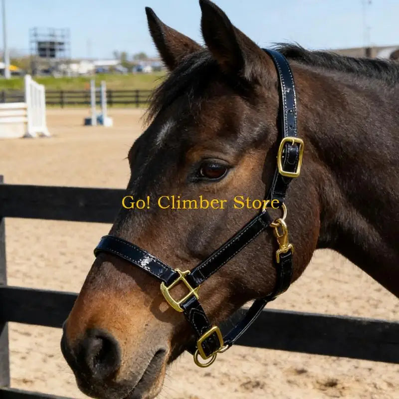 Q84C Quality Fashionable Leather Horse - ProPawPet.com