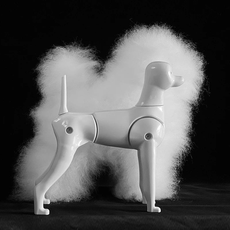 Pet Dog Model Hair Beautician Practice - ProPawPet.com