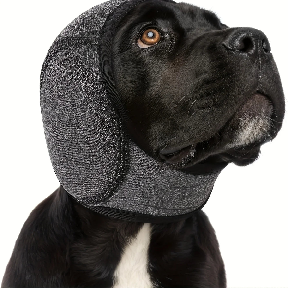 Adjustable Dog Earmuffs - Noise Reduction, - ProPawPet.com