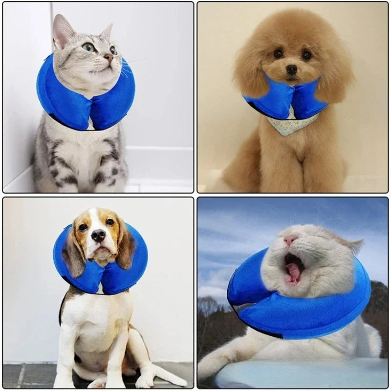 Soft Inflatable Pet Warm Cone Collar - ProPawPet.com