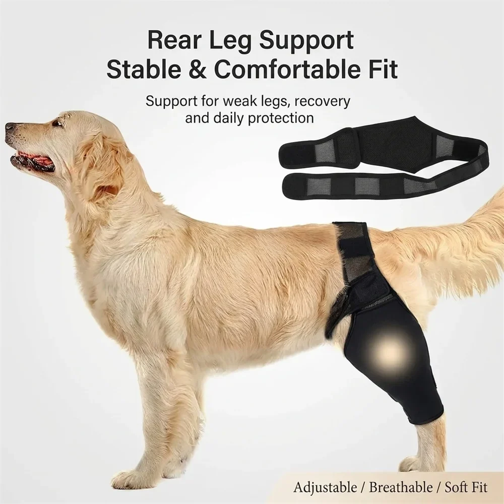 Dog Rear Leg Brace for Large Dogs Knee Joint - ProPawPet.com