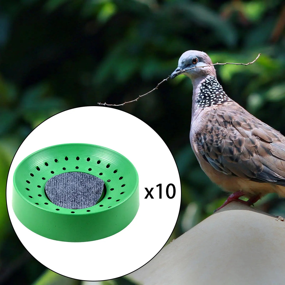 10x Pigeon Nest Breeding Hatching Nest Basin - ProPawPet.com