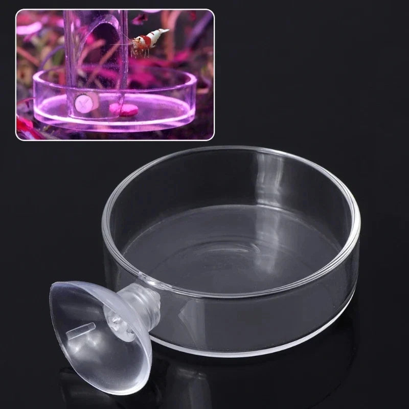Acrylic Mini Size Shrimp Feeding Dish Aquarium Fish Tank