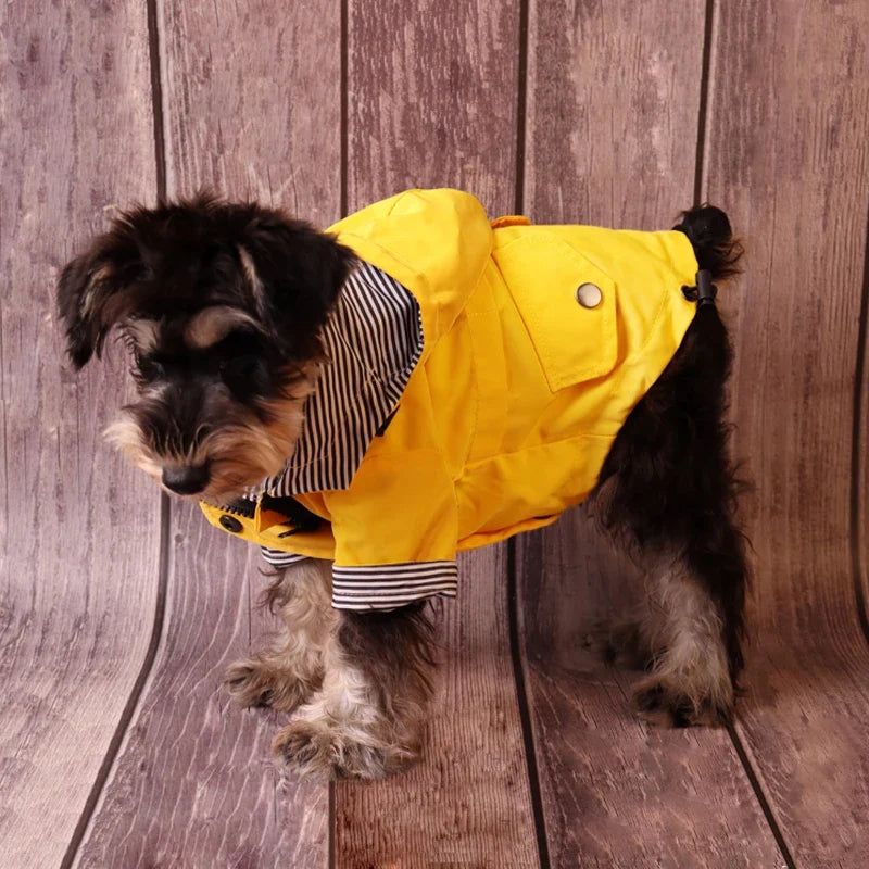 Large Dog Clothes Waterproof Dog Raincoat - ProPawPet.com