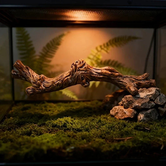 Rainforest Reptile Terrarium Decor - - ProPawPet.com