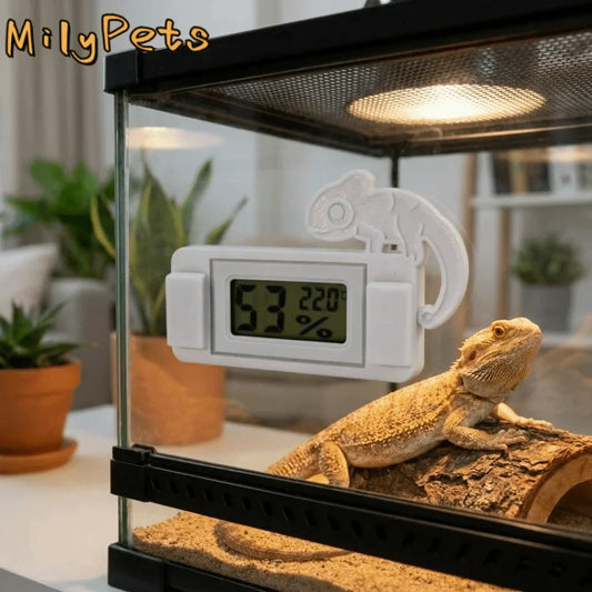 Magnetic Reptile Thermometer Digital Display - ProPawPet.com