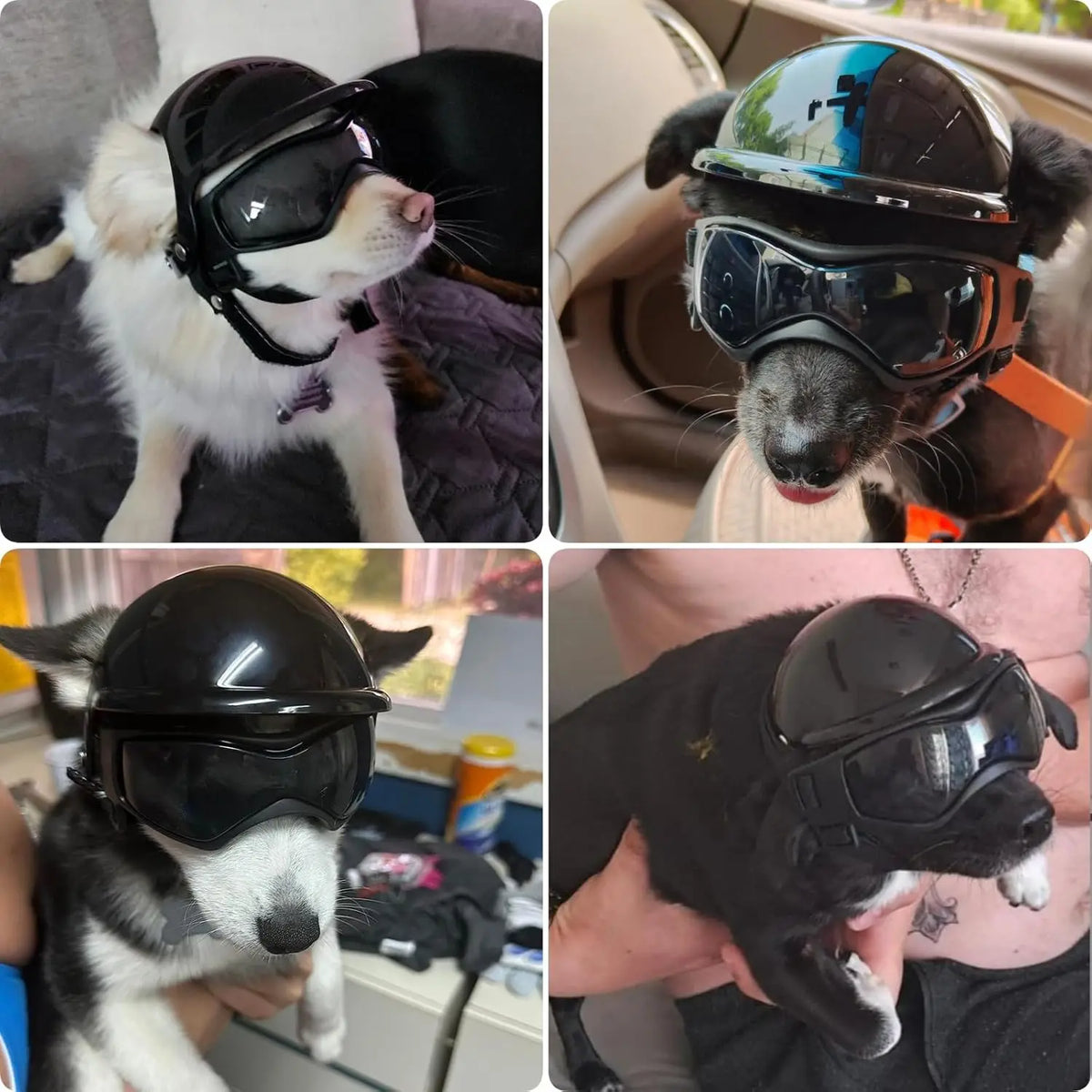 Dog Helmet Goggles Set Pet Safety Hat with - ProPawPet.com