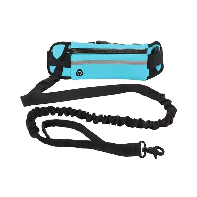 Reflective High Visibility Hands-free Dog Leash – 3 Colors