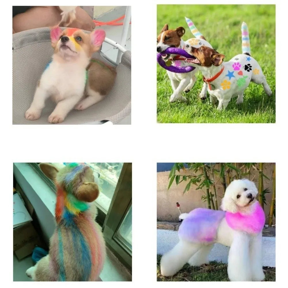 Pet Safe 12 Colors Pet Hair Dye Stick - ProPawPet.com