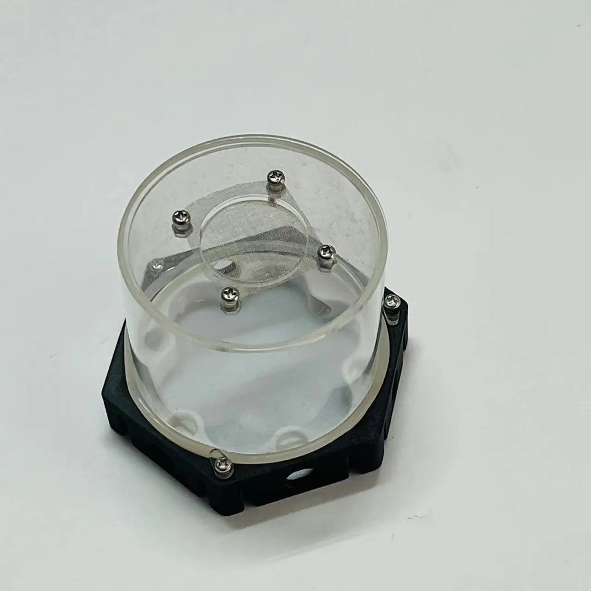 Moisturizing Idea Reptile Terrarium Ants - ProPawPet.com