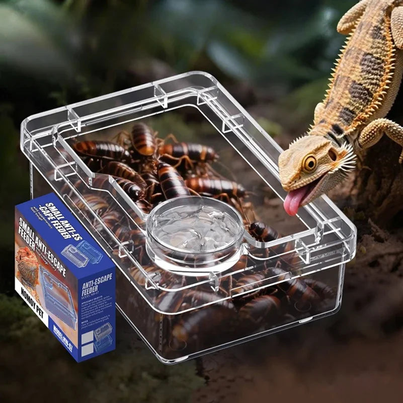 Reptile Feeder Lizard Turtle Gecko Feeding - ProPawPet.com