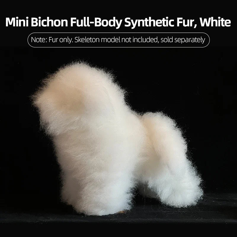 Dog Hair Beautician Practice Trimming Standard Poodle Teddy – Dog Supplies