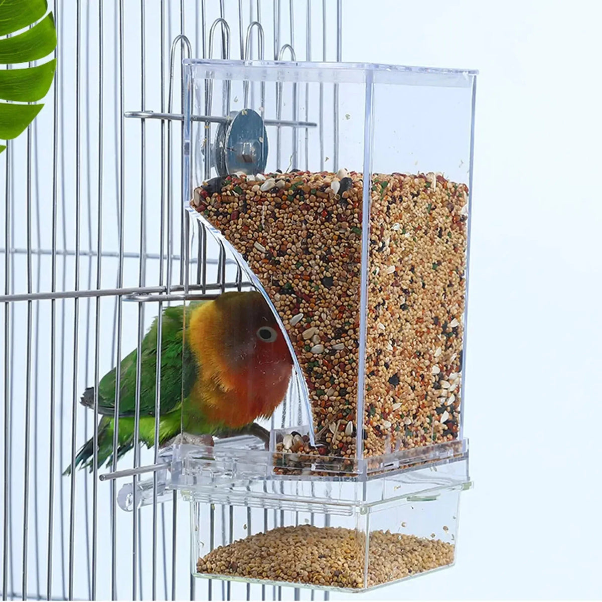 Automatic Parrot Bird Feeder Spill Proof - ProPawPet.com